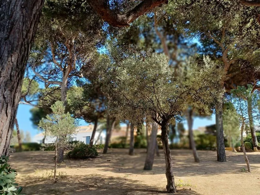 Apartamento Roc Mar Llafranc Apartment