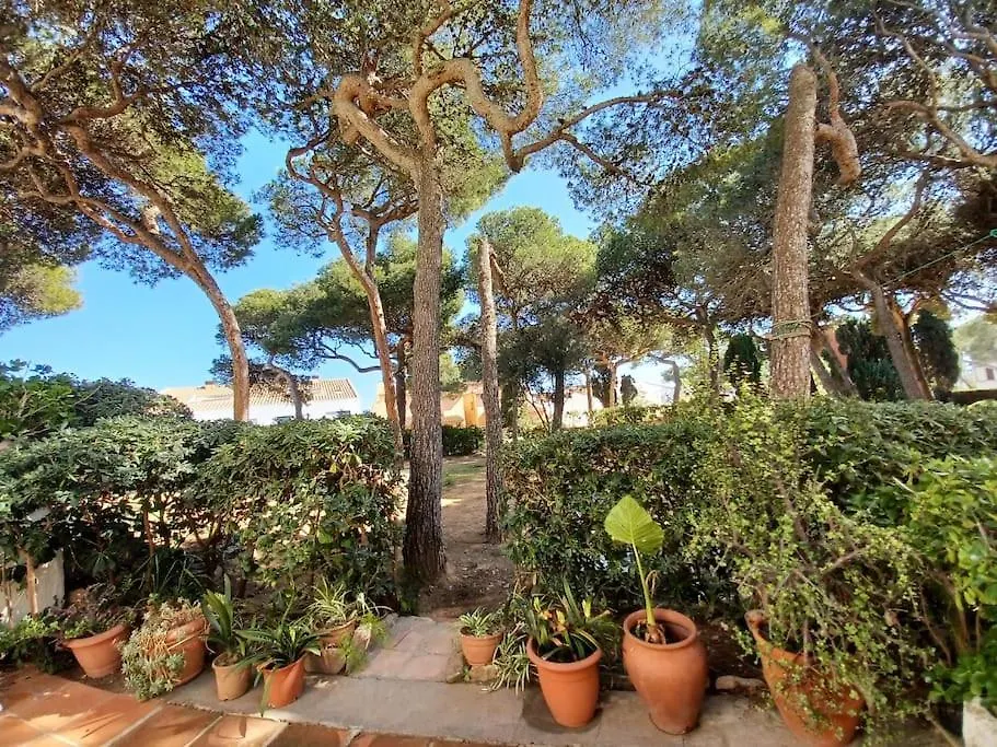 Apartamento Roc Mar Llafranc Spain